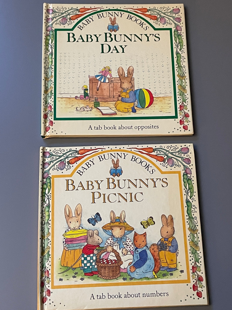 Sunny Bunnies: Colors, Shapes, Numbers & Opposites - (Hardcover)