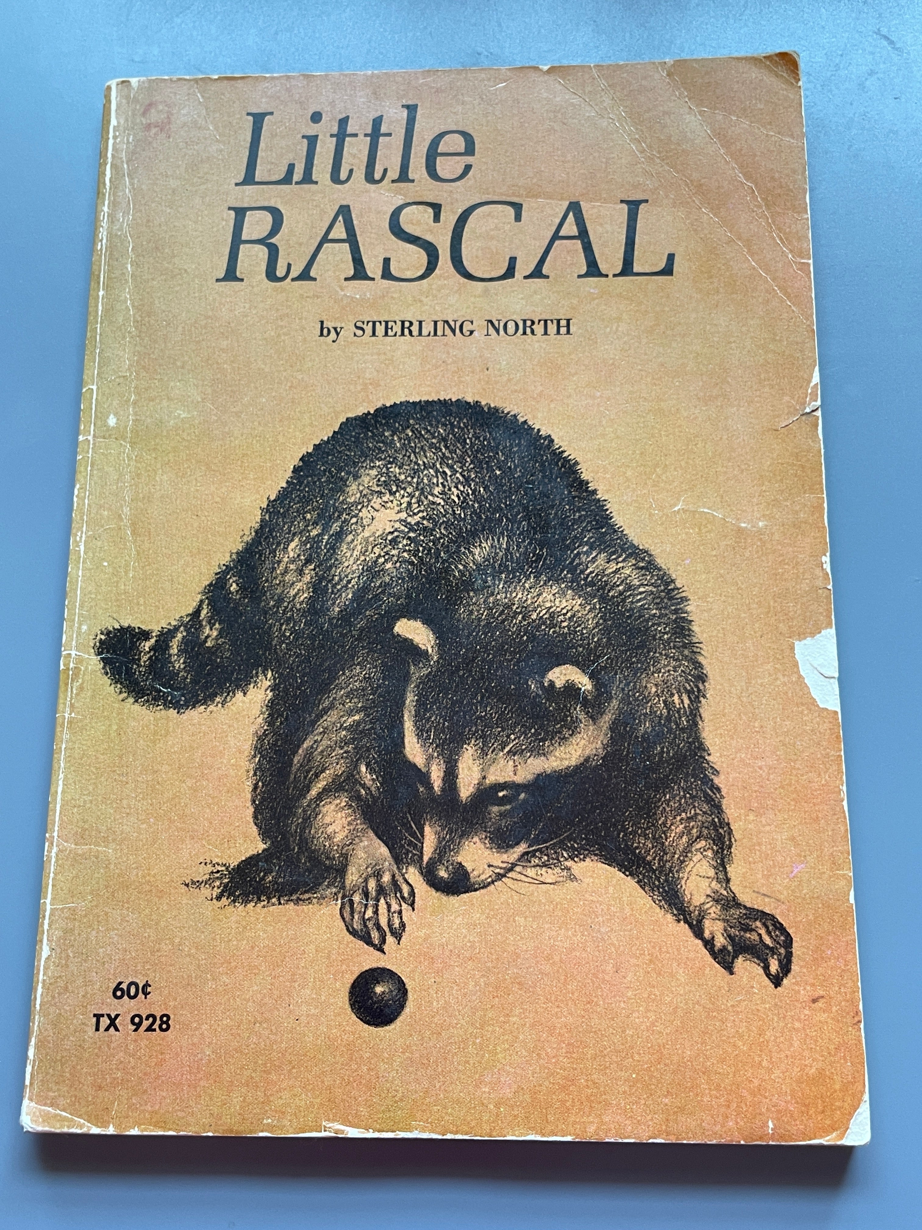 rascal book